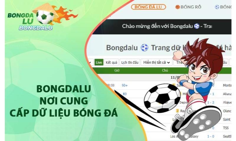 Khám phá Bongdalu – trang tỷ số, kết quả bóng đá uy tín